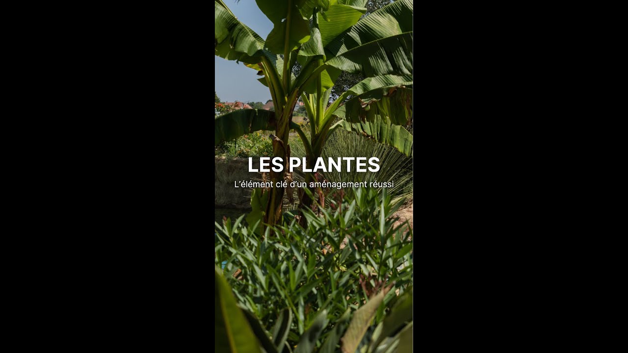 L'importance des v&eacute;g&eacute;taux