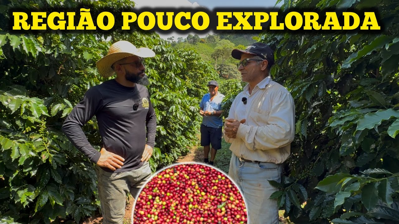 REGIÃO BOA PARA CAFÉ E QUAZE NINGUÉM PLANTANDO 