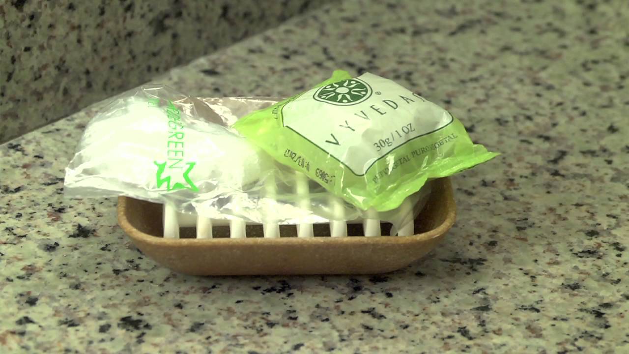 Hotel Verde: Um exemplo de empreendedorísmo sustentável