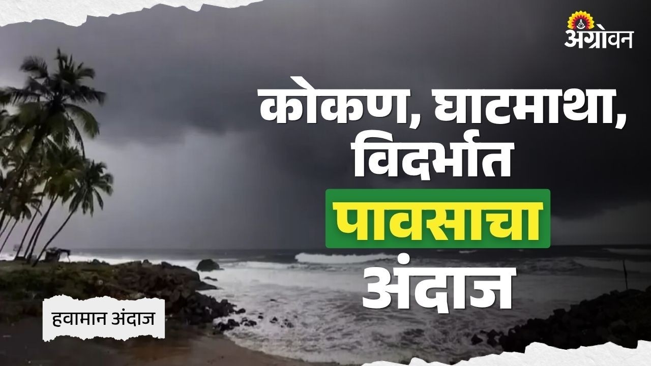 Rain Update : राज्यात पावसाची शक्यता; कोणत्या भागात जोर? | Agrowon