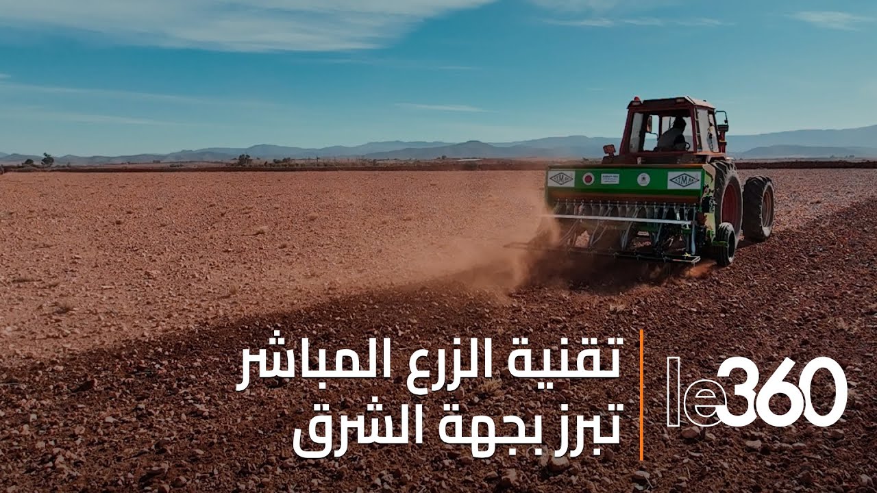 الزرع المباشر بوجدة أنكاد.. رهان استراتيجي لرفع الإنتاج ومواجهة التغيرات المناخية
