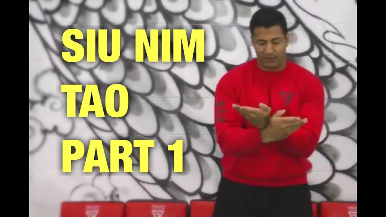 Siu Nim Tao Part 1 - WingTsun/Wing Chun  - Sifu Vik Hothi