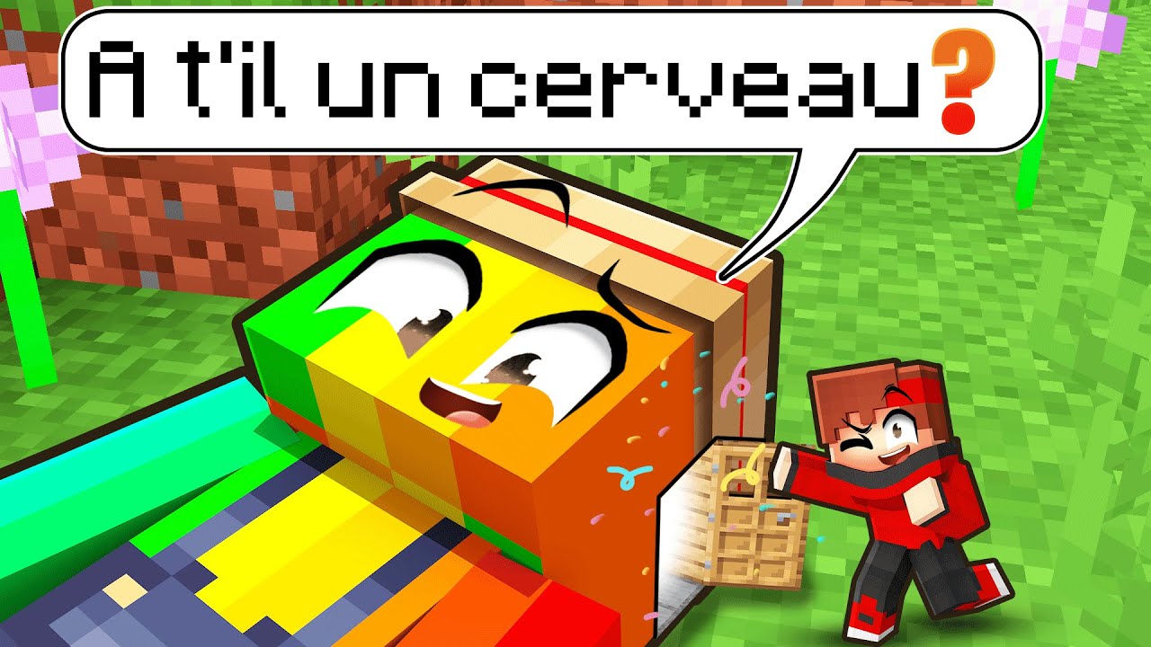 Rentrer dans la TÊTE de mes AMIS sur Minecraft ?