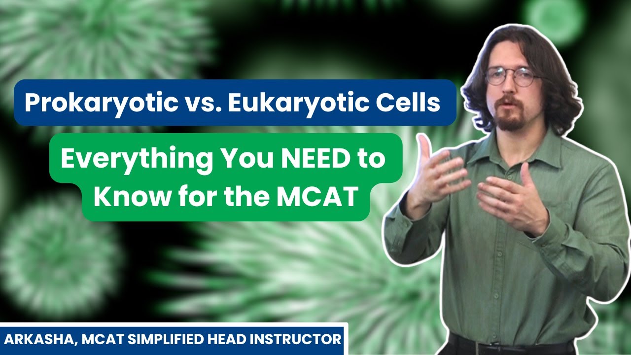 Prokaryotic vs. Eukaryotic Cells: Everything You NEED to Know for the MCAT