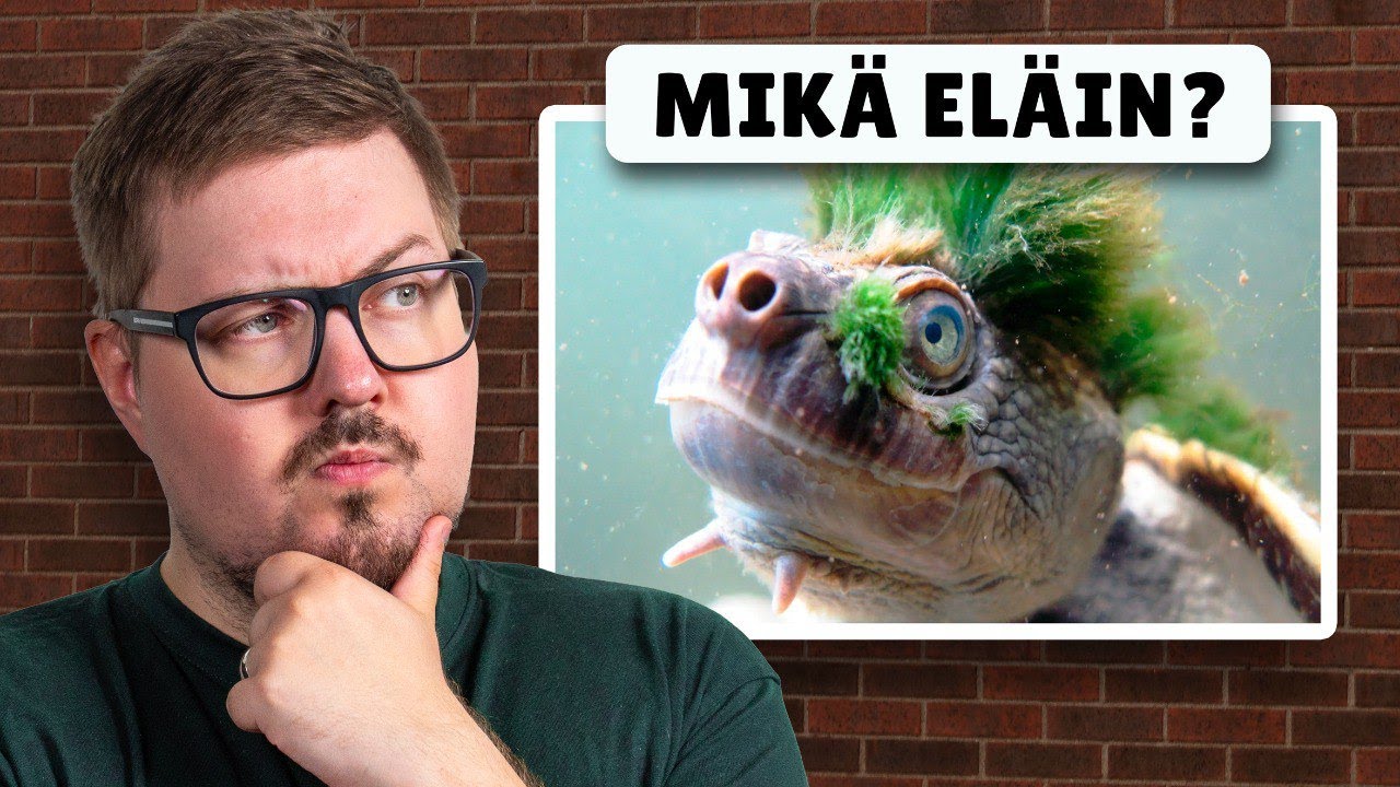 Kenellä Toimistopojista on paras yleistieto? (PELI)