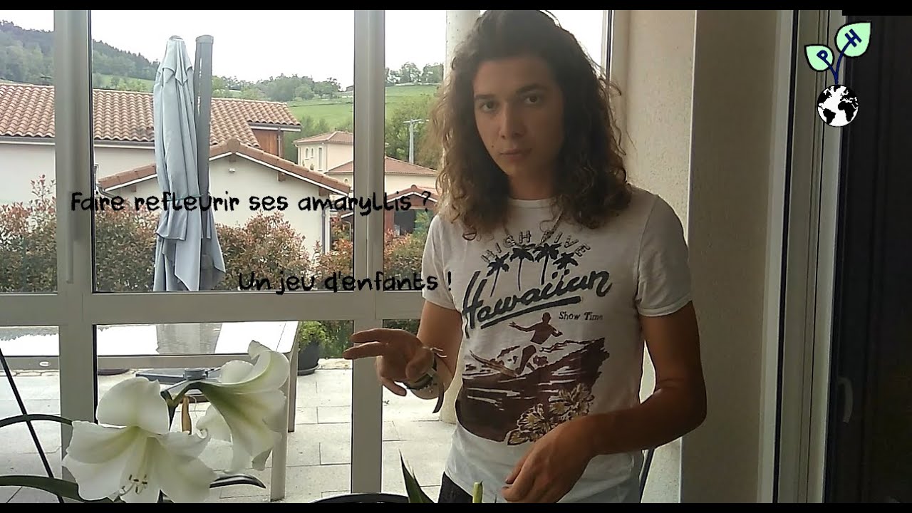 Faire refleurir ses amaryllis ? Un jeu d'enfants !