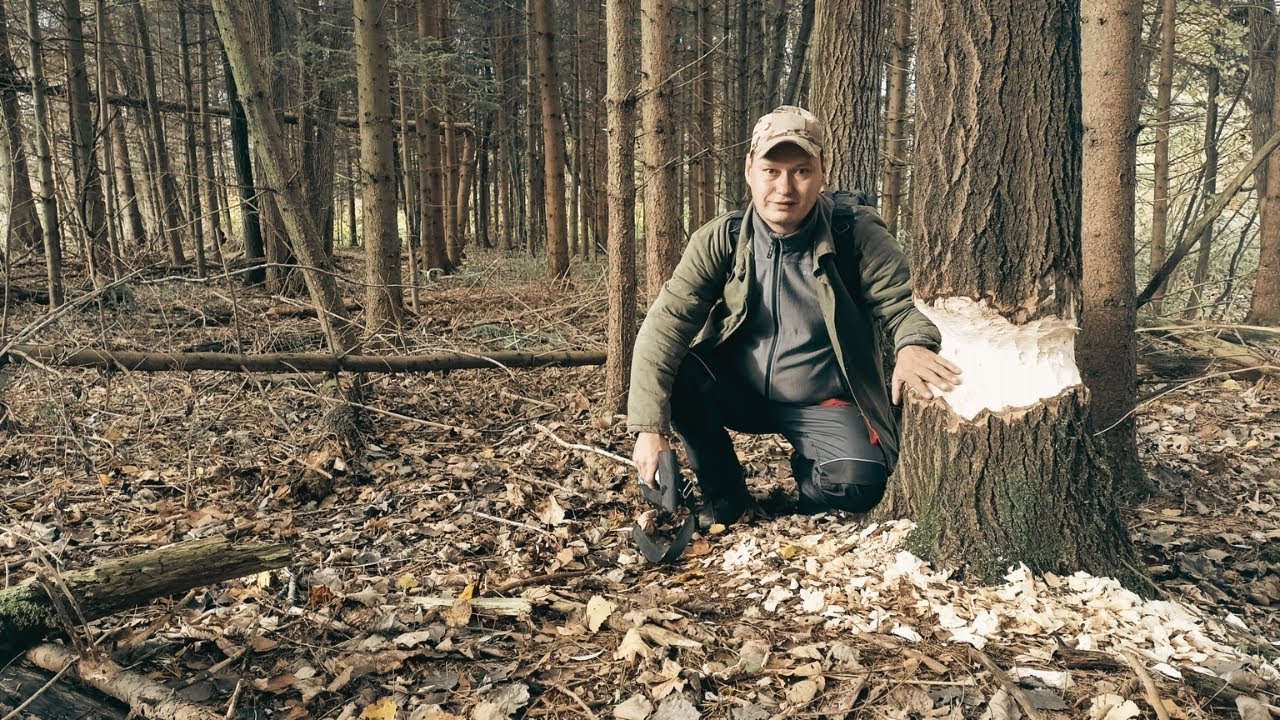 Start Build Bushcraft Survival Shelter | Cooking | Camp 