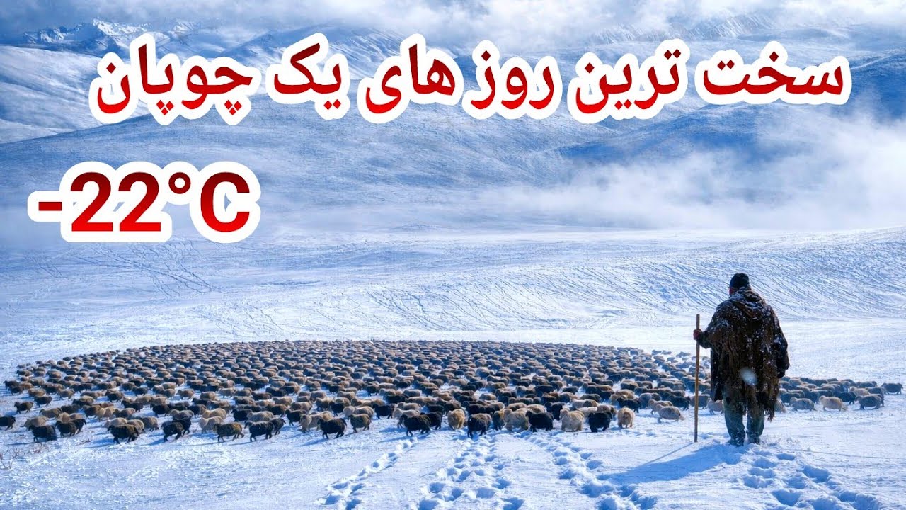 فصل زمستان سخت ترین روزهای یک چوپان °22-