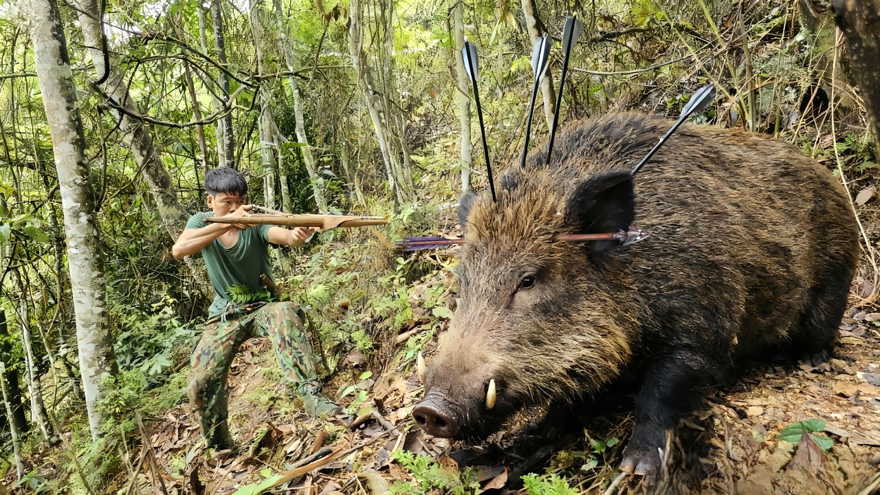 25 days of jungle survival, traps, wild boar, jungle fowl, mushroom picking, jungle fowl, survival