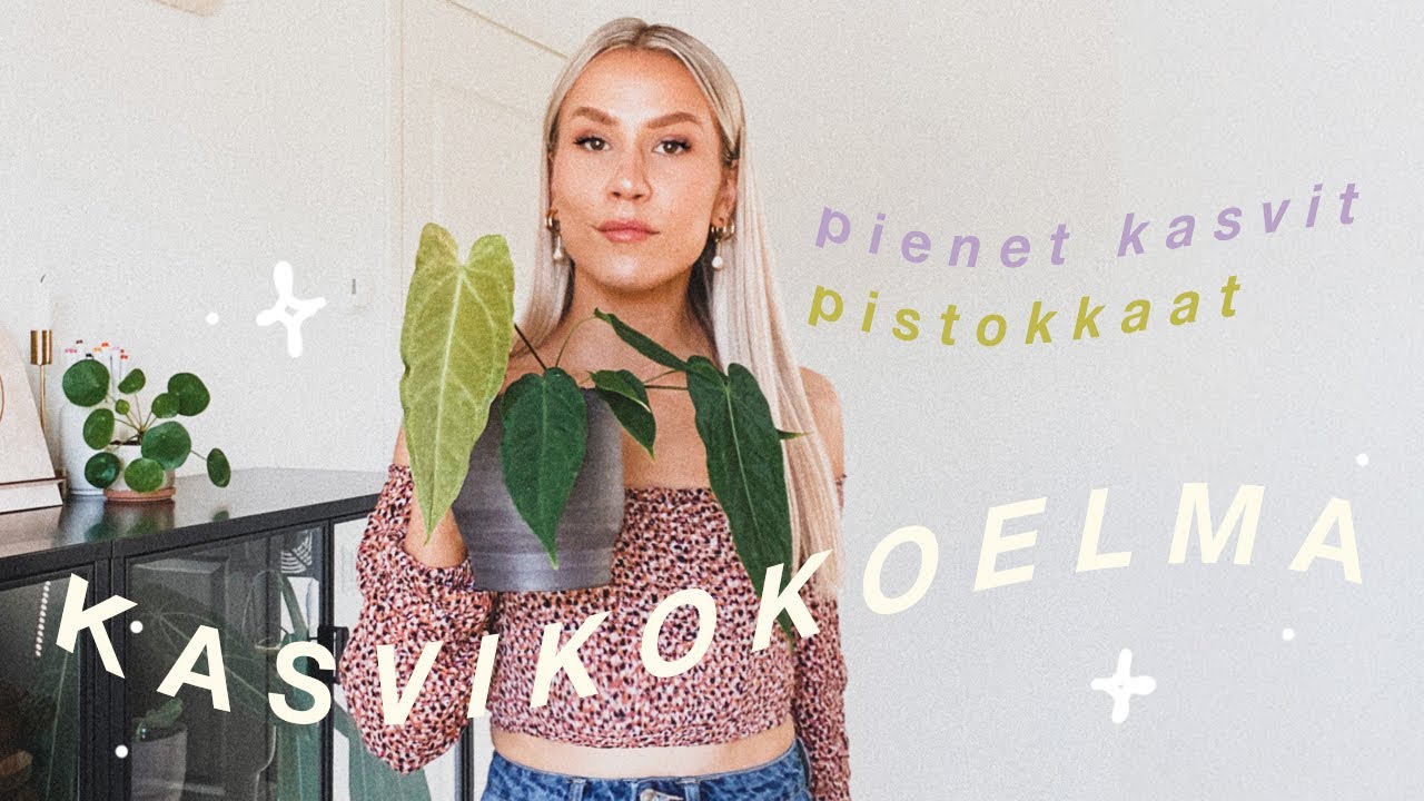 KASVIKOKOELMA OSA 1 || pienet kasvit ja pistokkaat 🌱