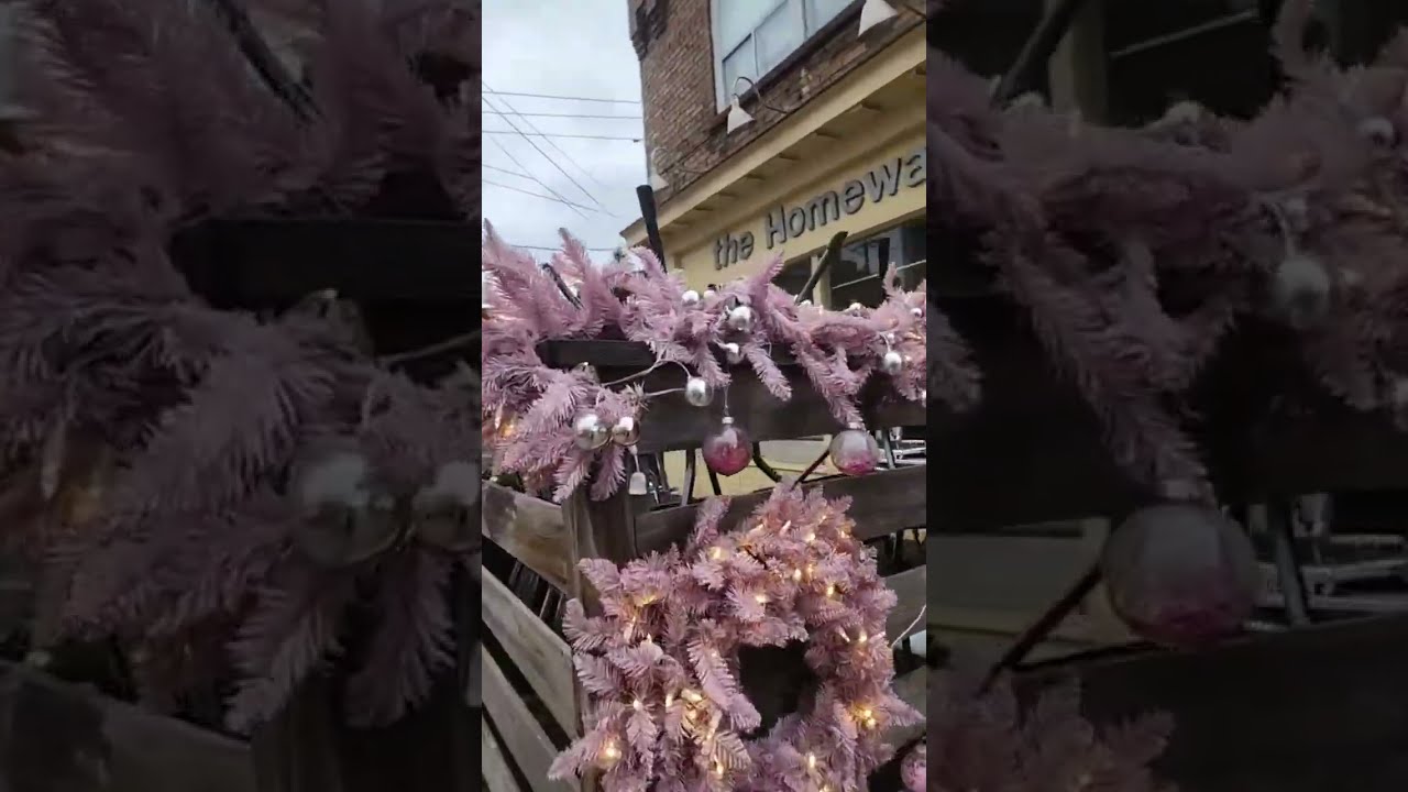 Toronto city walk 