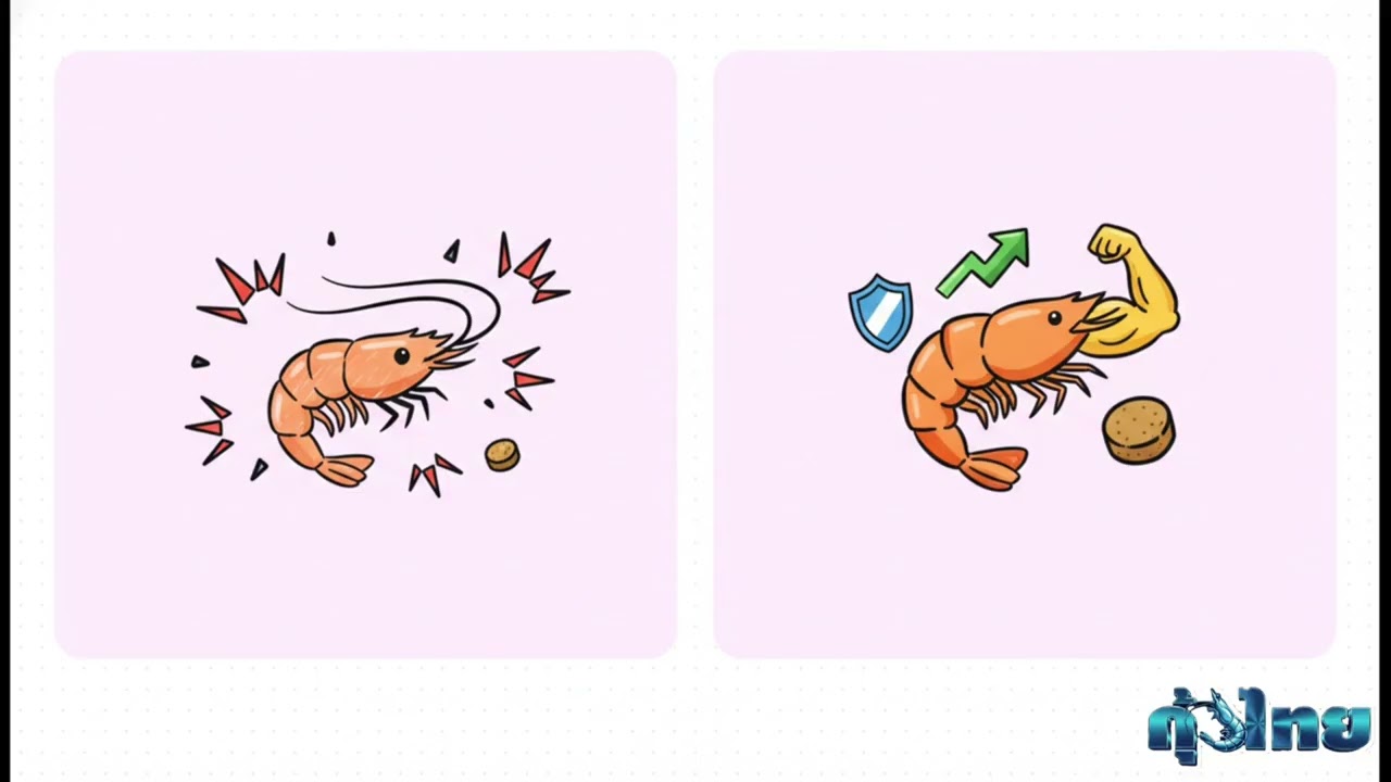 อดุลย์ฟาร์ม ขุมพร /น้องกุ้งไทย