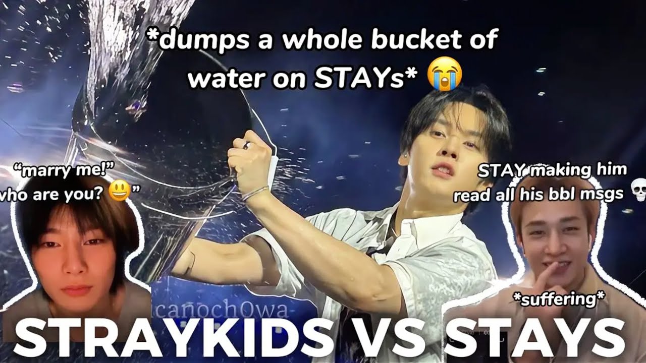 STRAYKIDS против STAYs
