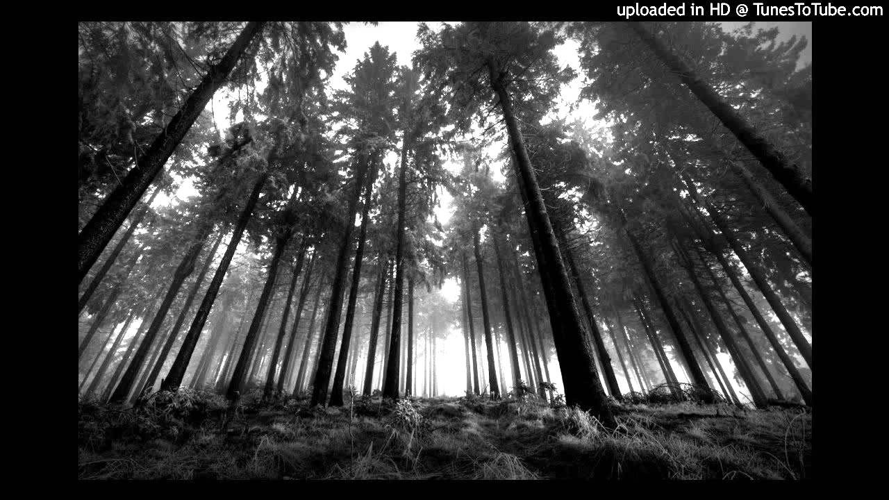 Kollektiv Turmstrasse - Schwindelig (ARtroniks Remix)