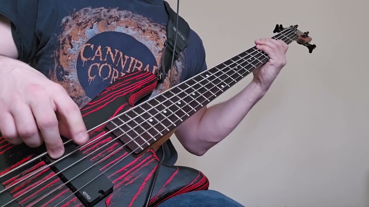 Amon Amarth - North Sea Storm | Bass Cover