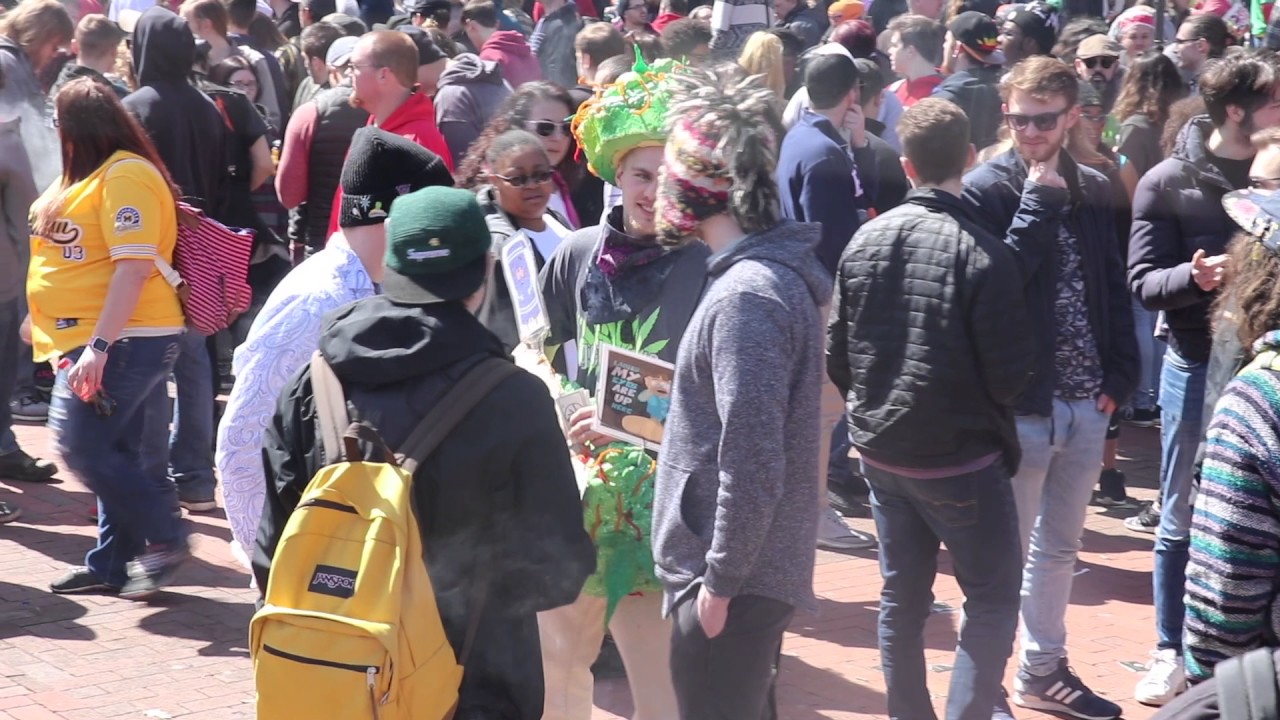 Hash Bash 2017