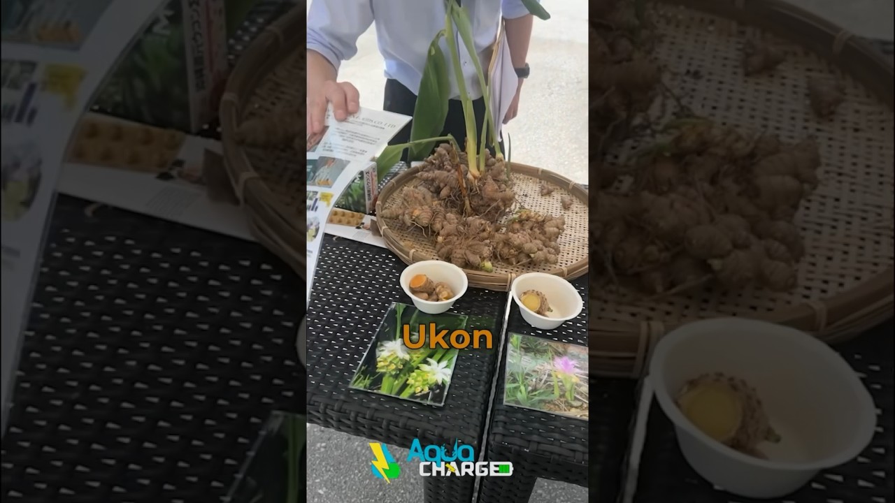 Enagic Ukon Factory Tour