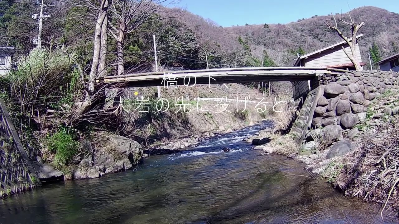 （里川渓流釣り）新潟県　道路脇の里川で天然尺イワナが釣れる