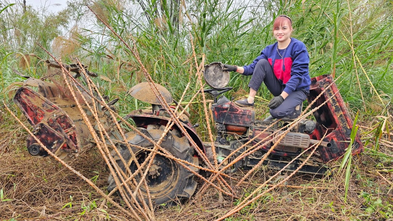 The girl repaired and restored the old plow for her neighbor.