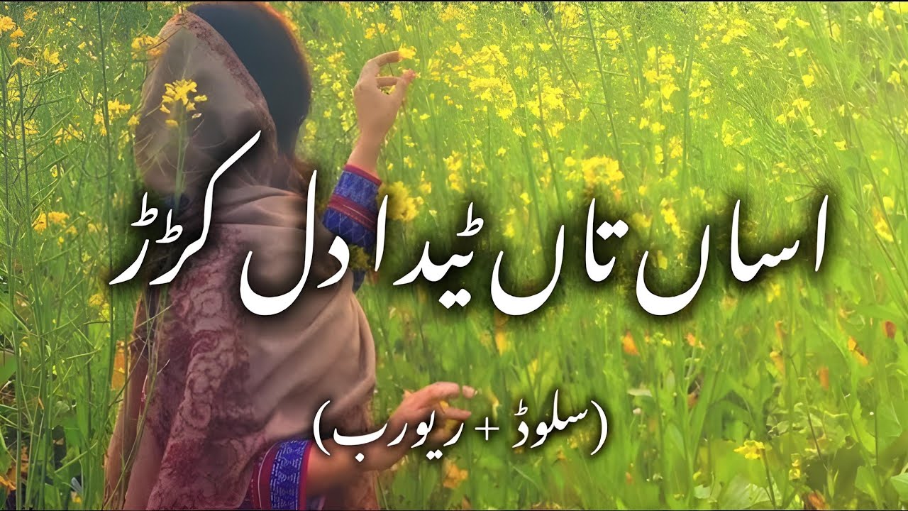 Asan Ta Teda Dil Kade Nai Dukhaya (Slowed + Reverb) سرائیکی سونگ 🥺- اسان تے تیڈا دل کدے نئیں دُکھایا
