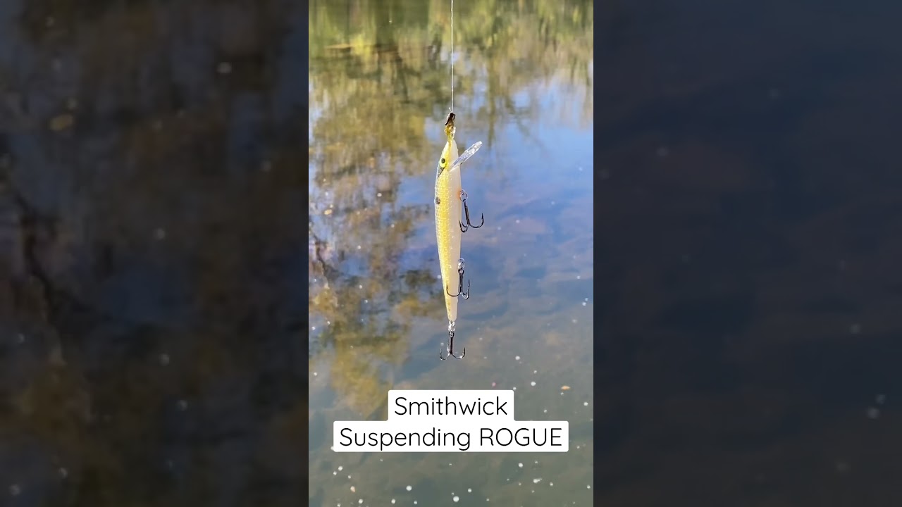 Smithwick Suspending Rogue Lure Demonstration