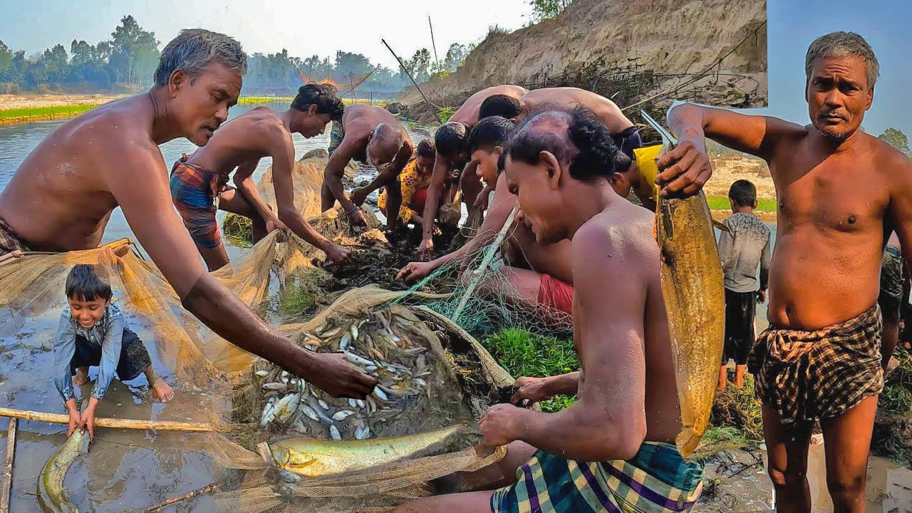 উত্তরবঙ্গের  শীতল আবহাওয়ায় চলছে গ্রামীন পরিবেশে ঝাড় থেকে মাছ ধরা|Tradititional Village Fishing Video