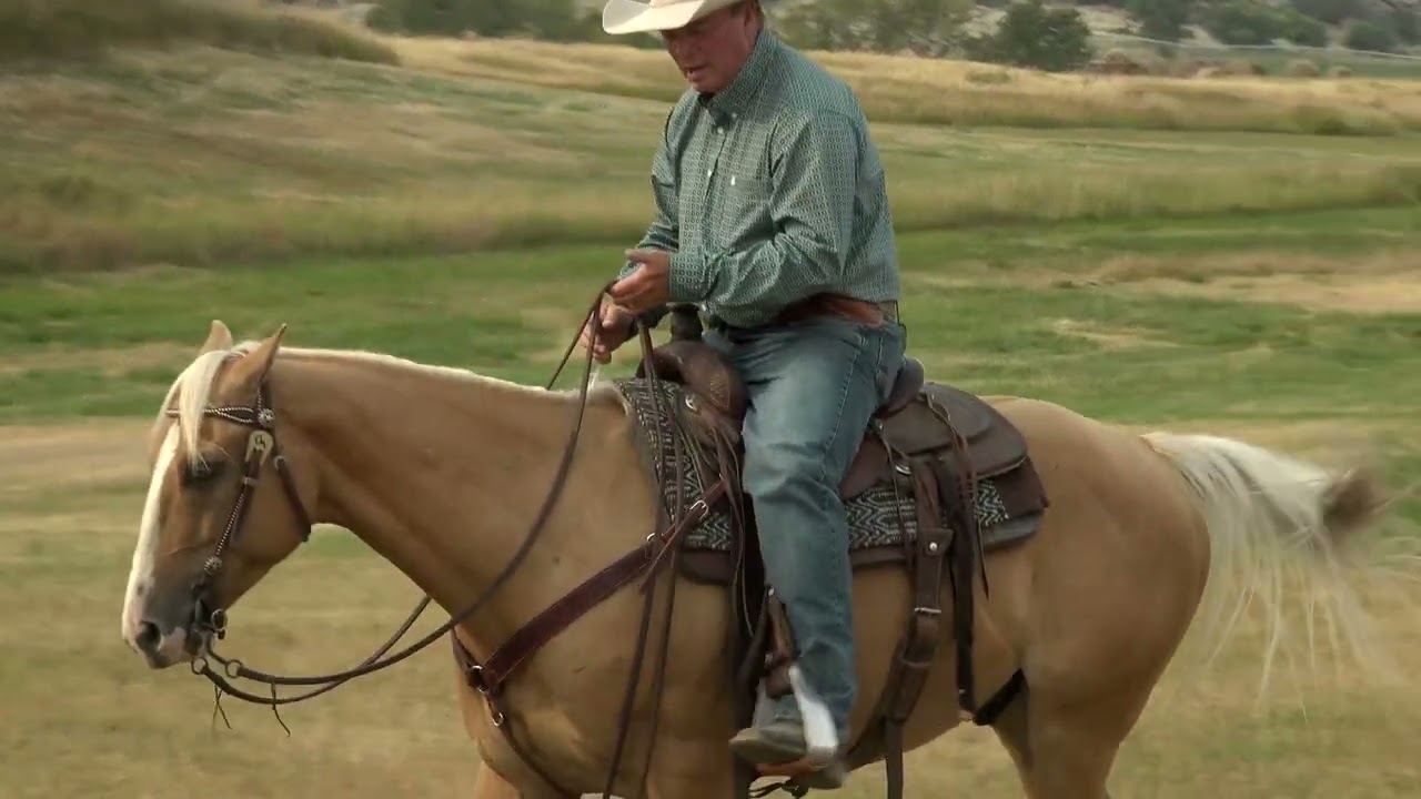 Making The Perfect Ranch Horse- Brakes and Backup