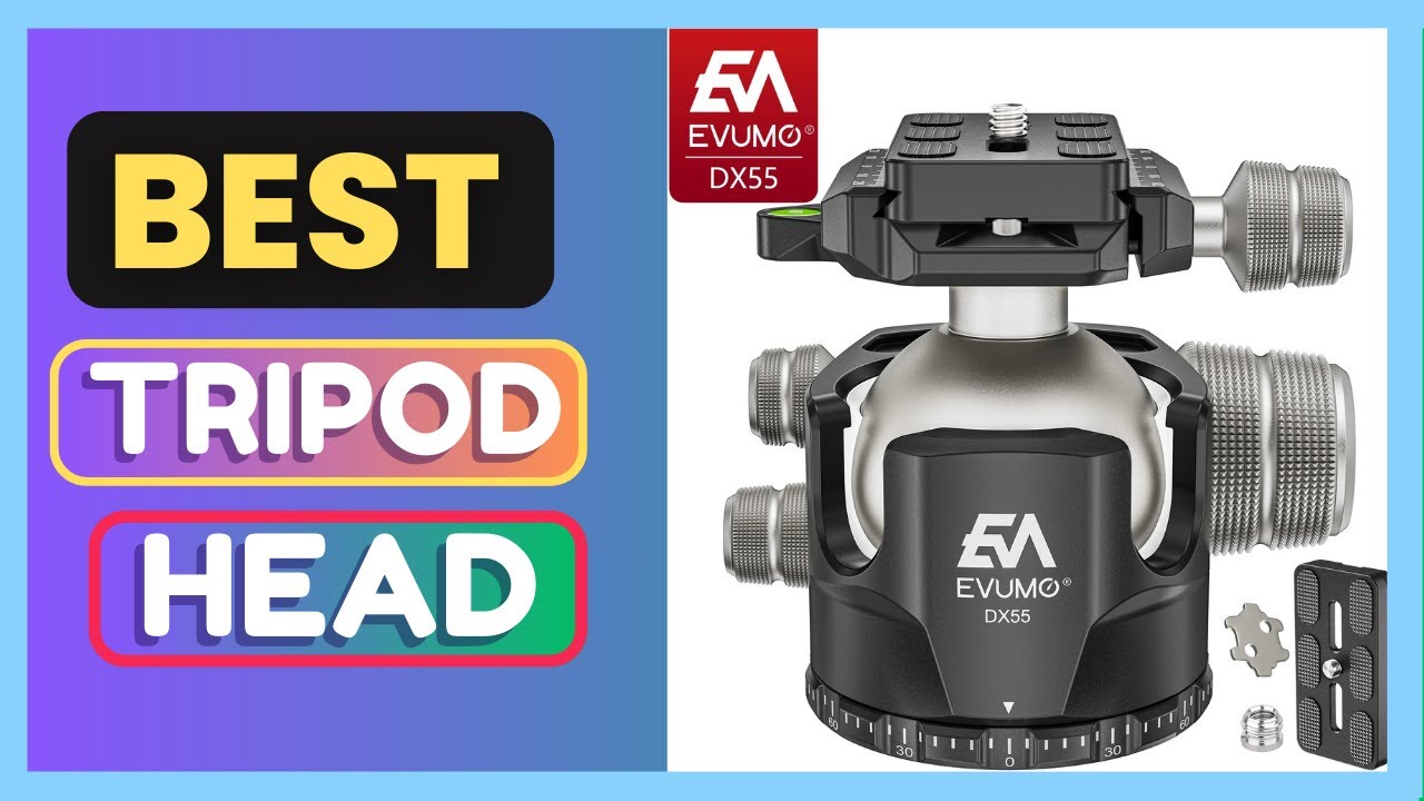 Best EVUMO DX55 Professional 55mm Big Ball Head Low