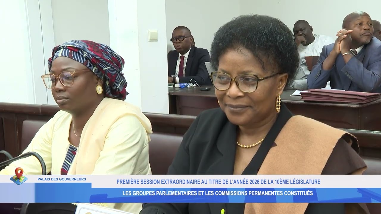 PREMIÈRE SESSION EXTRAORDINAIRE DE LA 10ÈME LÉGISLATURE: LES ORGANES PERMANENTS CONSTITUÉS