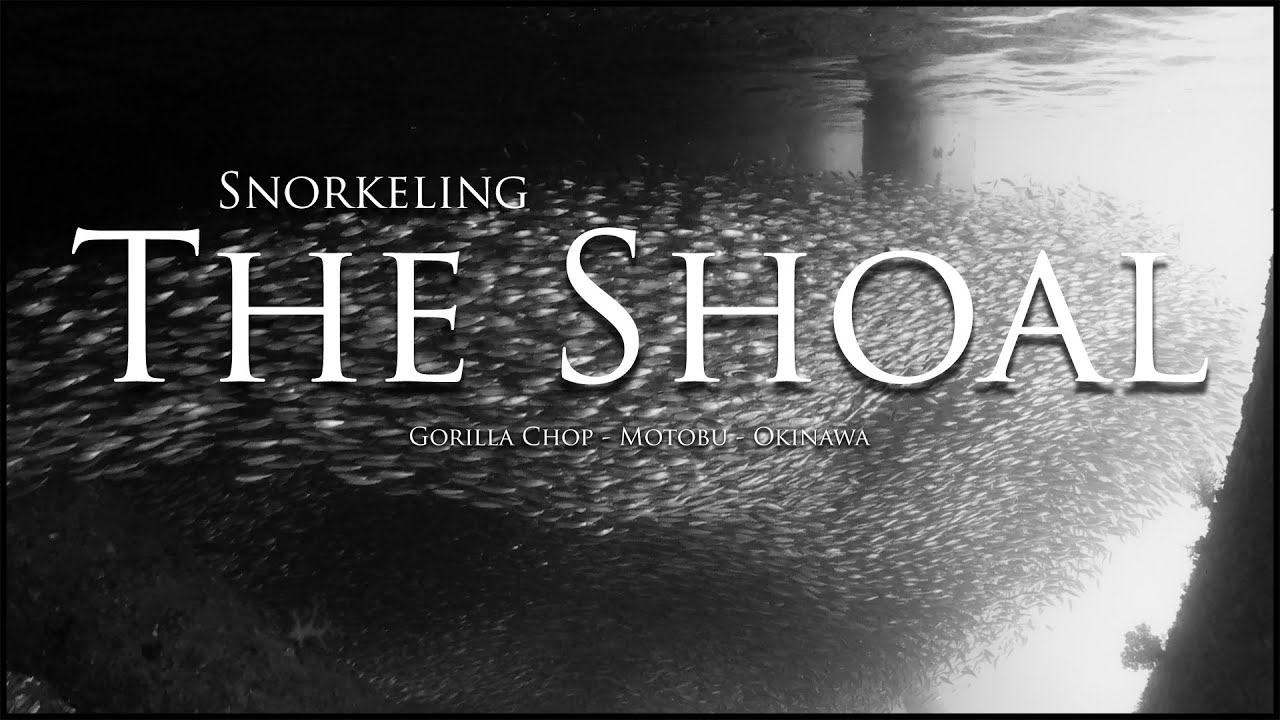 Gorilla Chop, Okinawa - Snorkeling The Shoal