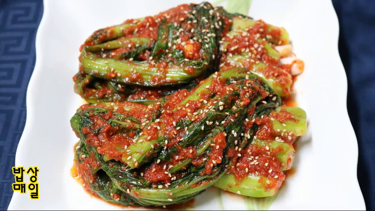 갓김치 맛있게 담는 법~알싸한 꿀팁! 면역력에 좋은 김치/갓김치담그기(레시피)/밥상매일(Every table) 요리스타일(food style)