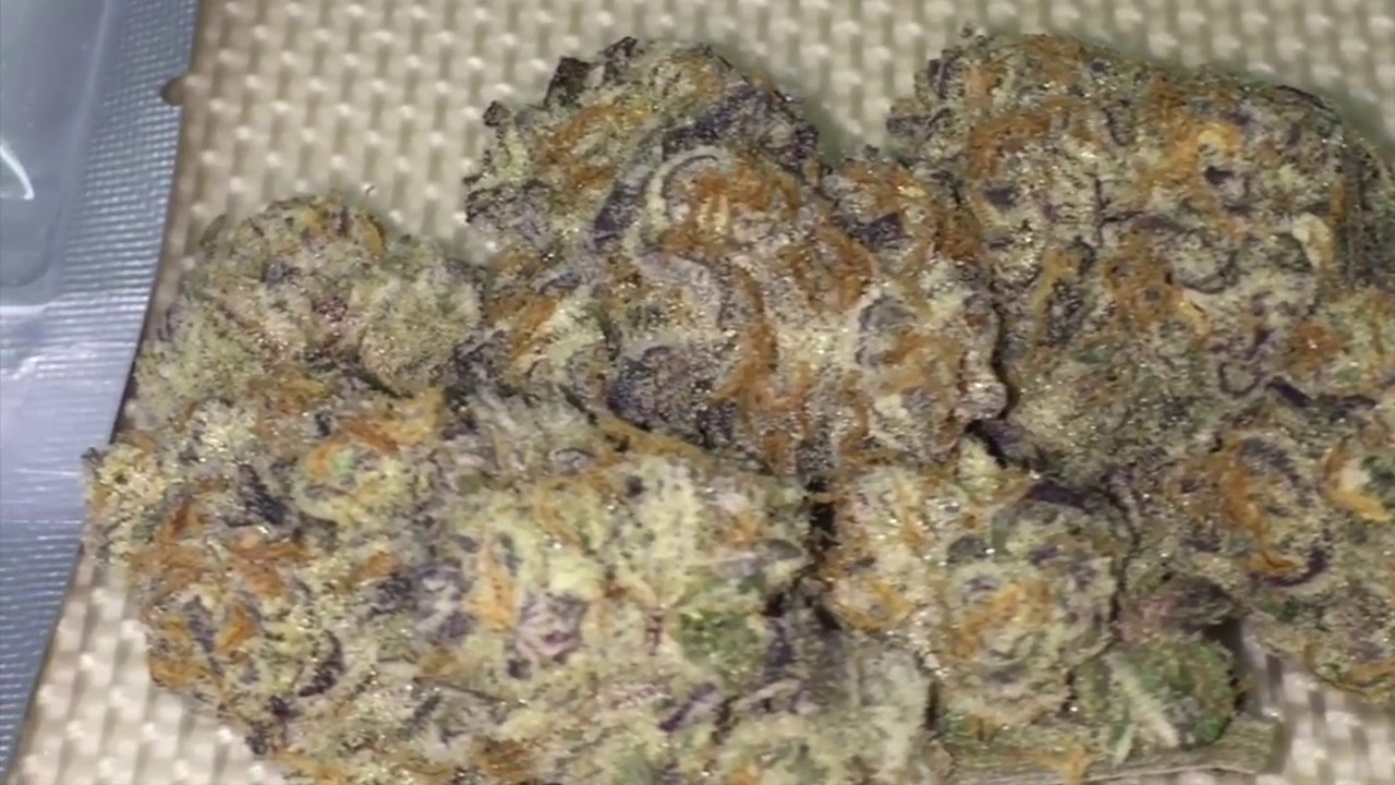 Purple Punch Grown By The Village