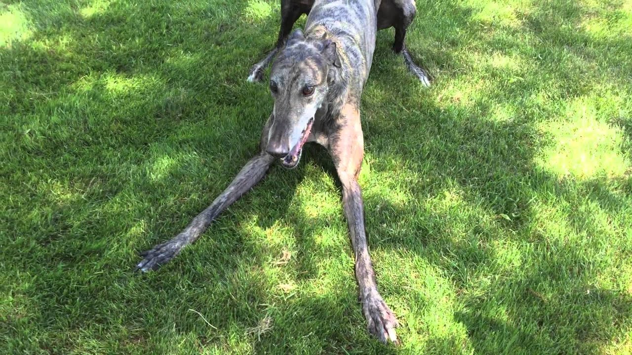 The aftermath of an outdoor bath!