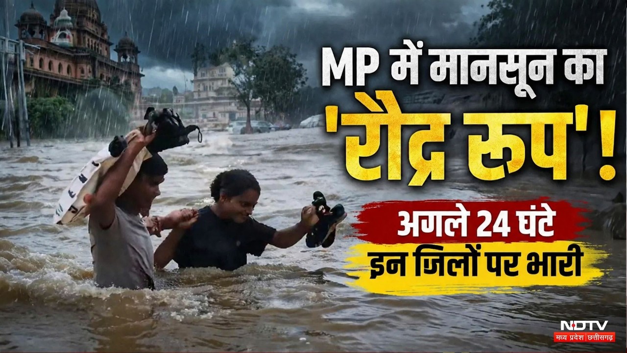 Heavy Rain Alert: Next 24 hours critical for these 5 districts in MP | Monsoon | Top News | Weath...