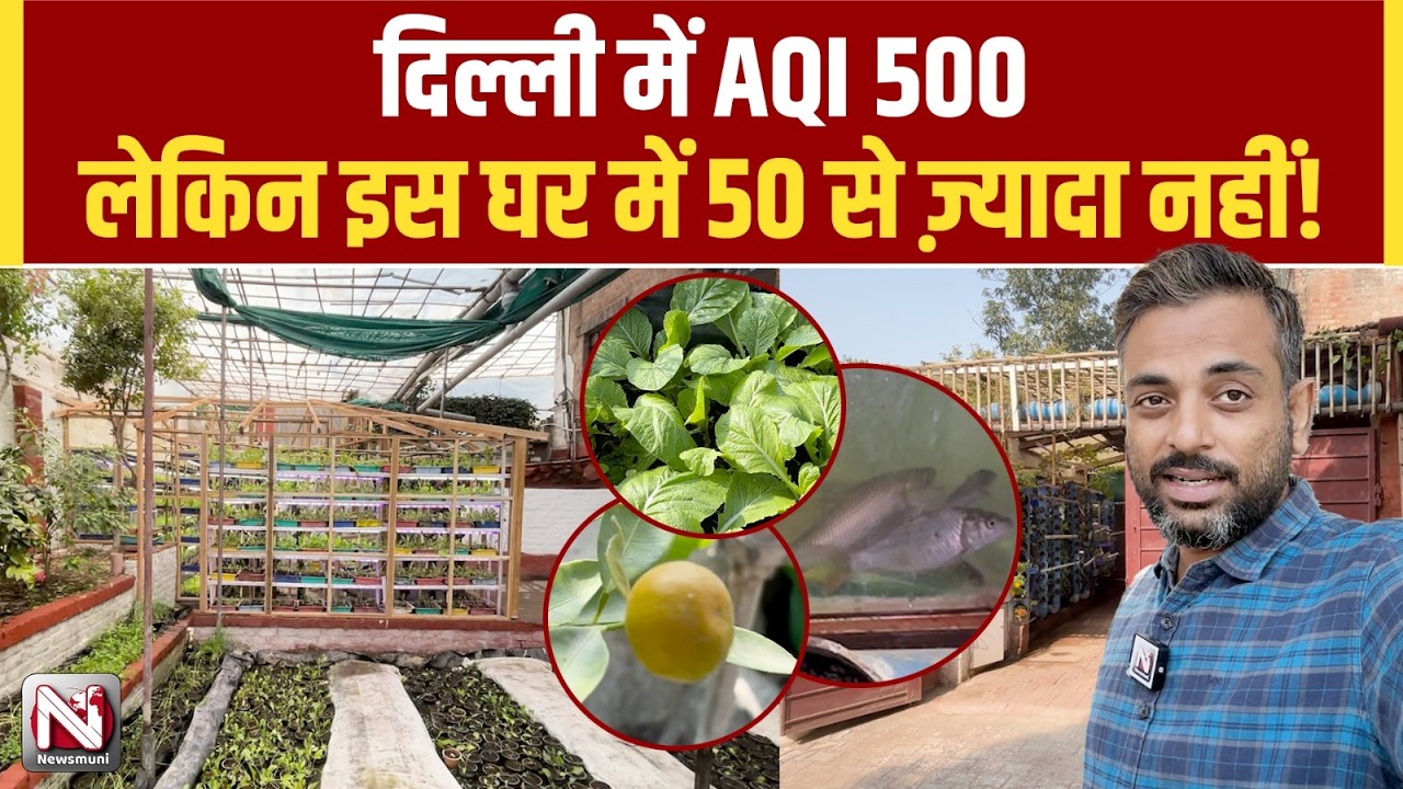 Delhi शहर Gas chamber बनता है, यह घर बन जाता है oxigen ज़ोन....