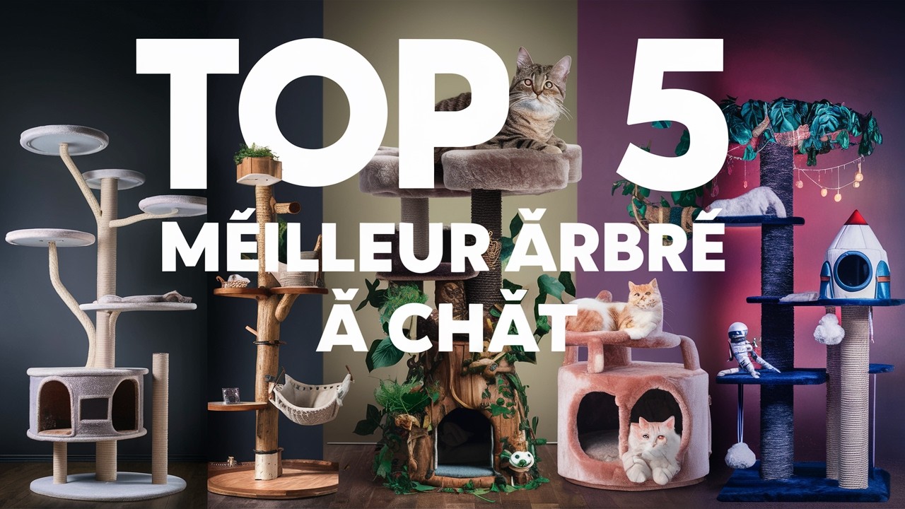 Top 5 Meilleur Arbre a Chat 2025 🐱