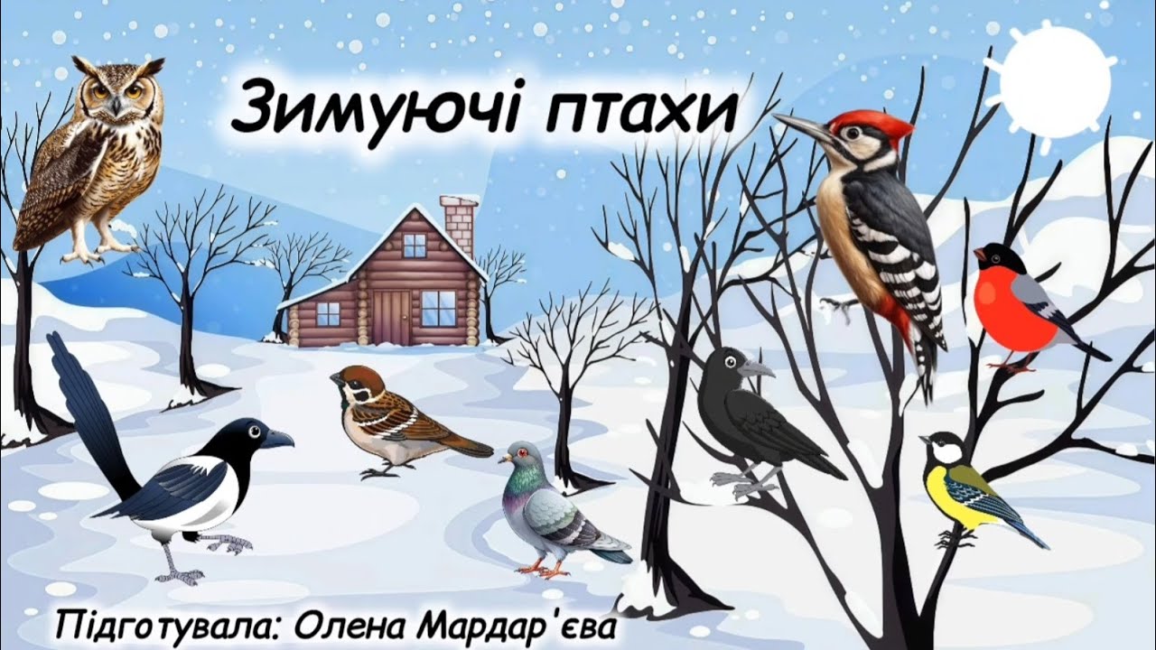 Зимуючі птахи