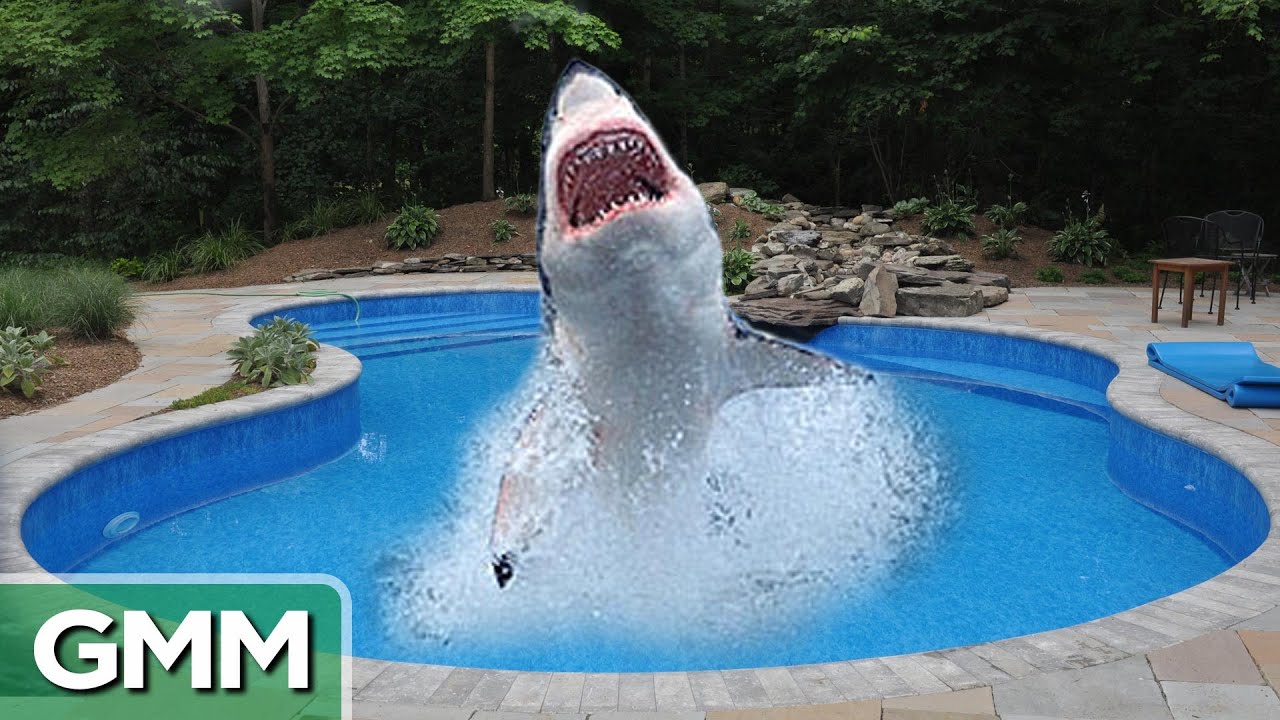 5 Brand New Games to Play in the Pool