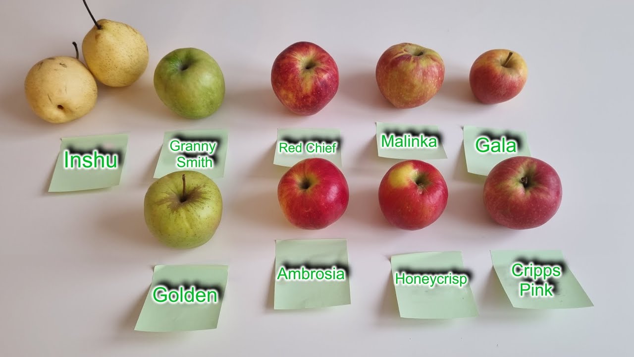 🍎Топ яблок и груш 2026 — Ambrosia, Gala, Golden, Honeycrisp, Granny Smith, Cripps Pink и груша Иншу
