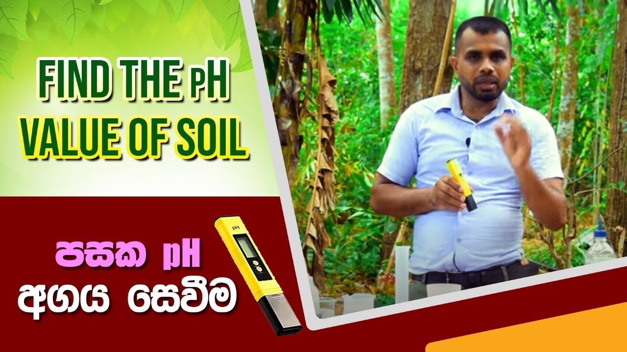 PH අගය නිවැරදිව දැනගමු,How measure  pH ,BST Saman,