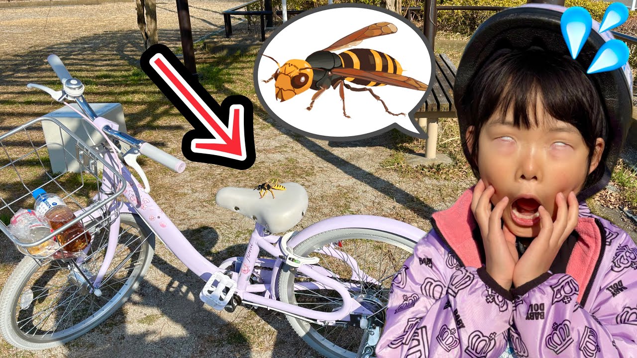 ハチが自転車にいて大ピンチ…これじゃあお家に帰れないよ〜〜〜〜〜😱💦【寸劇】