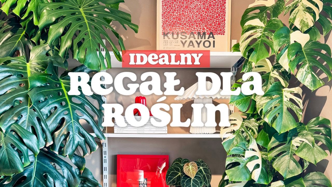 IDEALNY REGAŁ DLA ROŚLIN 🌱 / Tani regał dla roślin / Montaż i aranżowanie