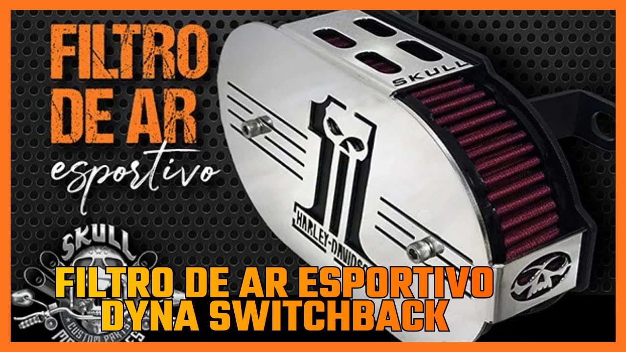 FILTRO ESPORTIVO SKULL DYNA SWITCHBACK