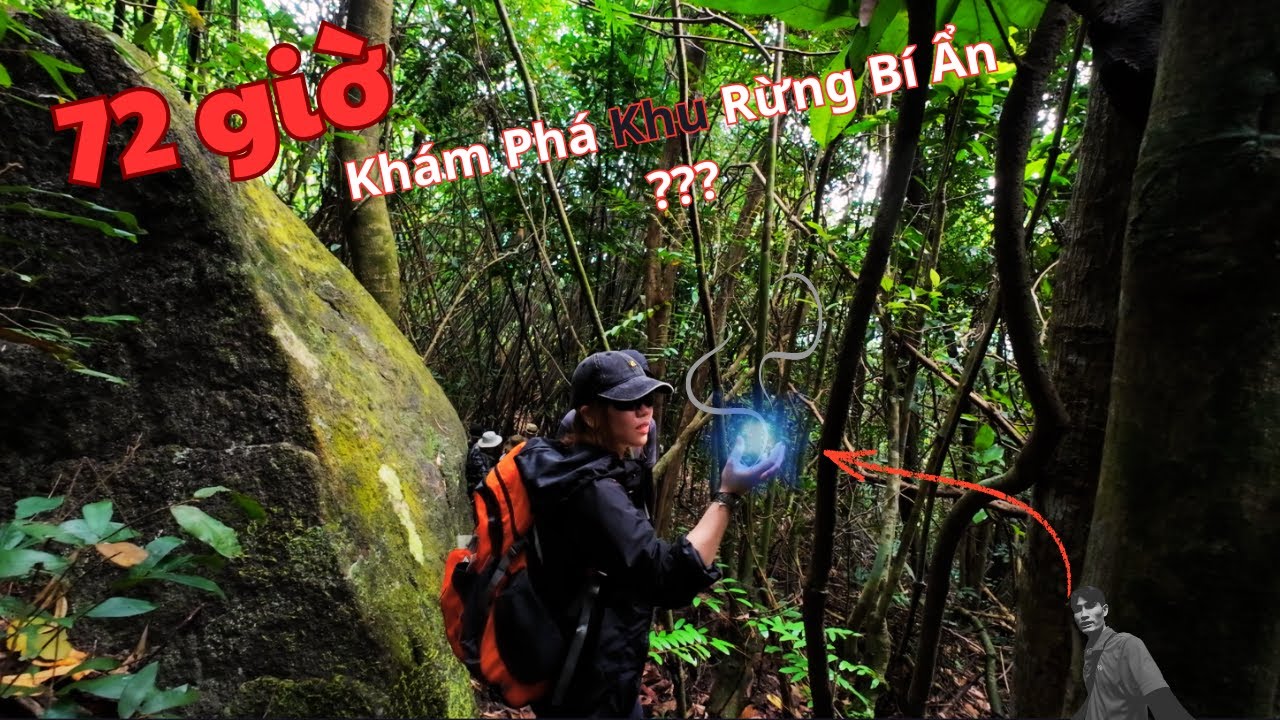 Điều B&iacute; Ẩn Ở B&ecirc;n Trong Khu Rừng Thi&ecirc;ng _Th&agrave;nh VlogSG #travel