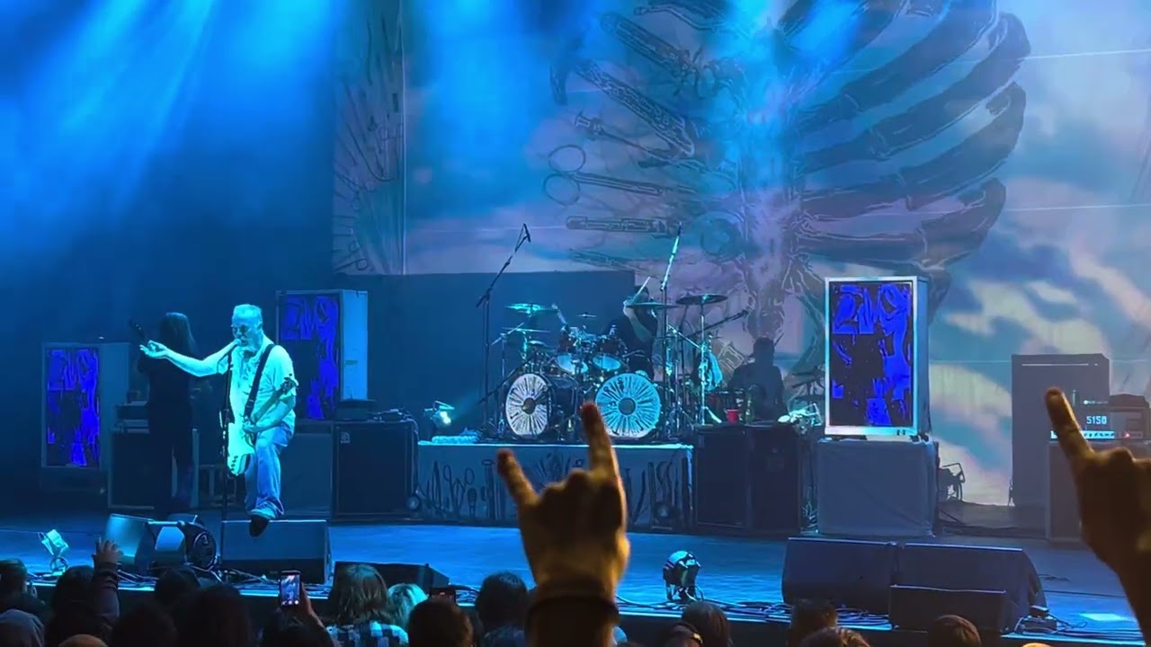 Carcass - Foeticide