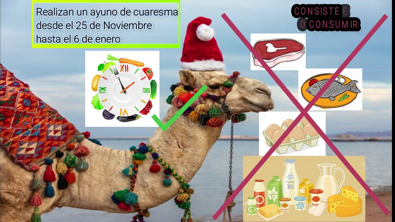 Navidad en Egipto