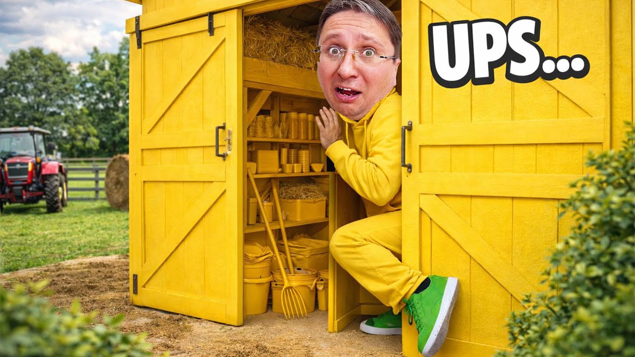Partea 2 👵 Ne ASCUNDEM într-o CULOARE 😱 în casa noastră 🏠