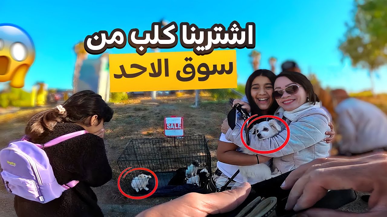 حققت امنية نرمين واشترينا كلب 🐶