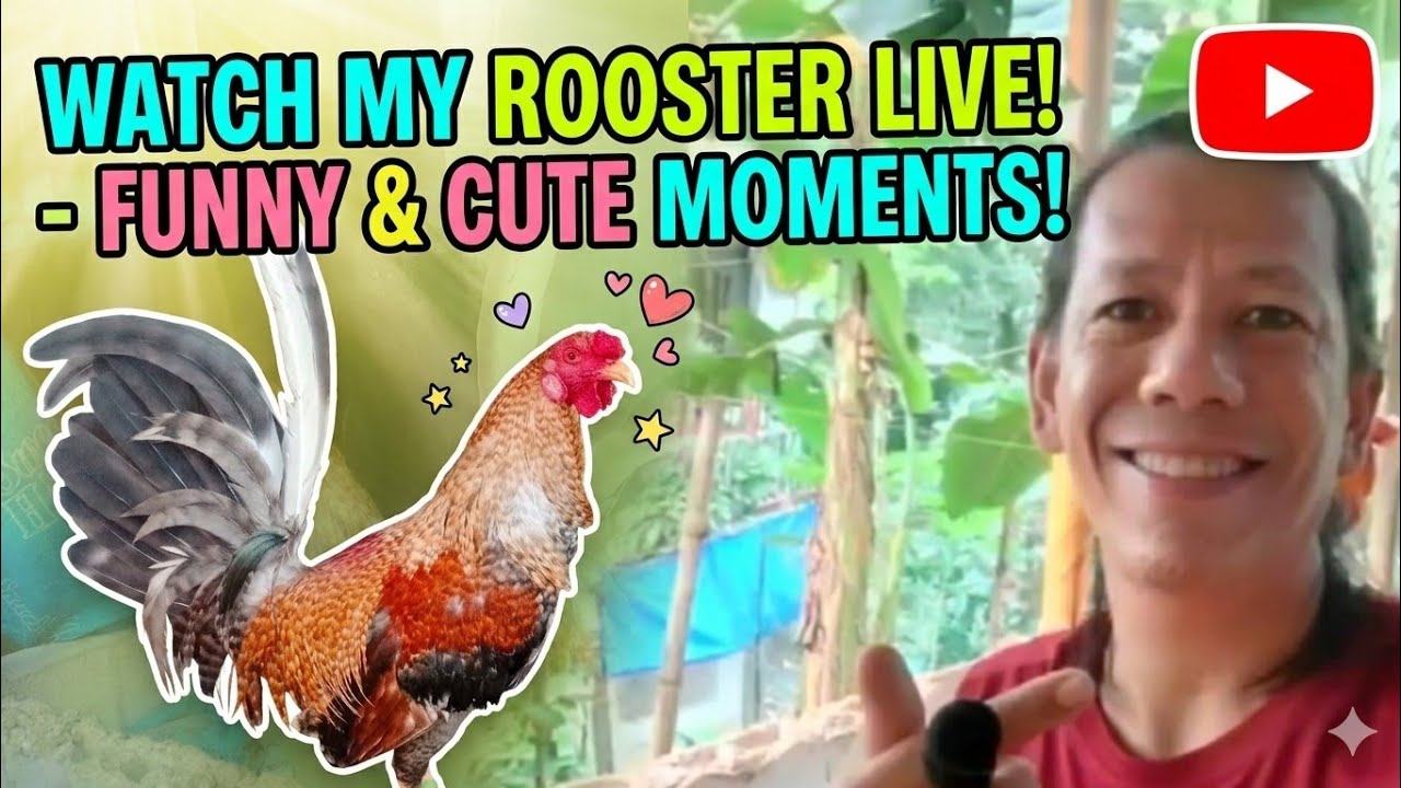 GPC backyard is live!