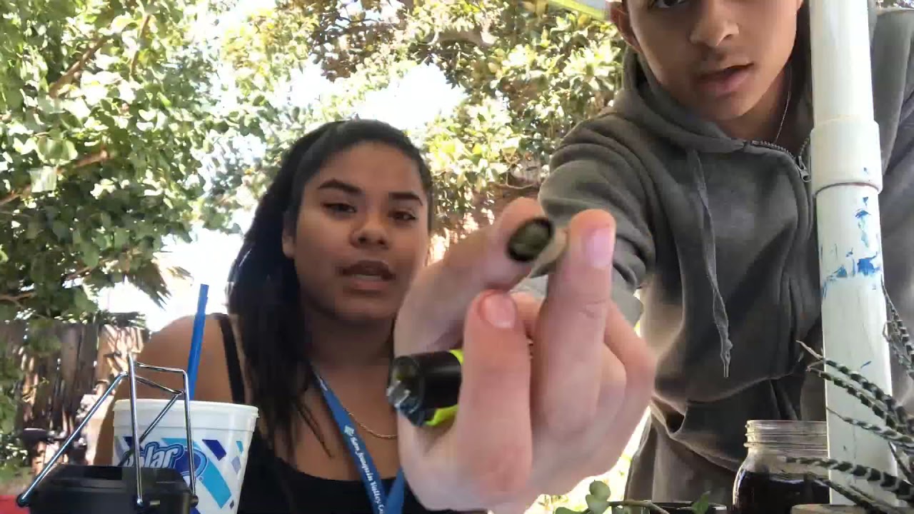 Blunt sesh timelapse